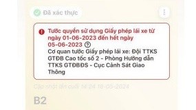 Hướng dẫn cách xem giấy phép lái xe bị tước trên VNeID mới nhất
