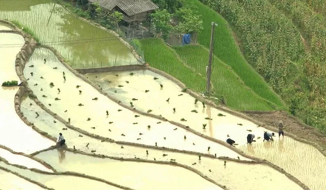 Hà Giang: Ruộng bậc thang Hoàng Su Phì hóa thành mặt gương khổng lồ lấp lánh mùa nước đổ Hà Giang: Ruộng bậc thang Hoàng Su Phì hóa thành mặt gương khổng lồ lấp lánh mùa nước đổ