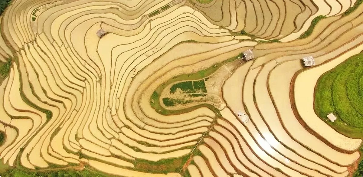 Hà Giang: Ruộng bậc thang Hoàng Su Phì hóa thành mặt gương khổng lồ lấp lánh mùa nước đổ