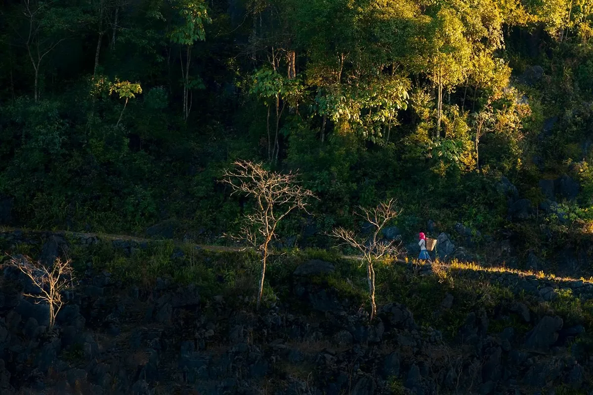 Hà Giang: Ruộng bậc thang Hoàng Su Phì hóa thành mặt gương khổng lồ lấp lánh mùa nước đổ Hà Giang: Ruộng bậc thang Hoàng Su Phì hóa thành mặt gương khổng lồ lấp lánh mùa nước đổ