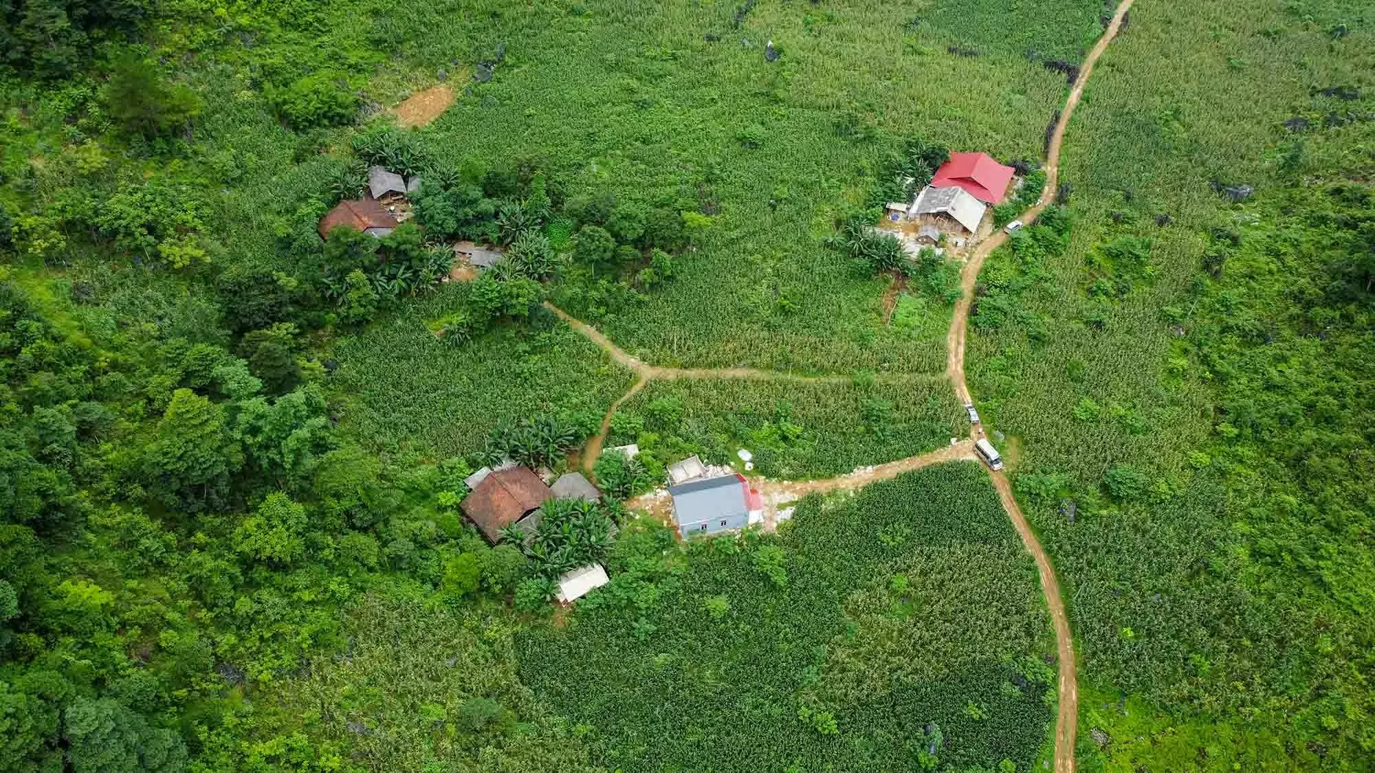 Bài 2: Chính sách nhân văn và thiết thực Bài 2: Chính sách nhân văn và thiết thực