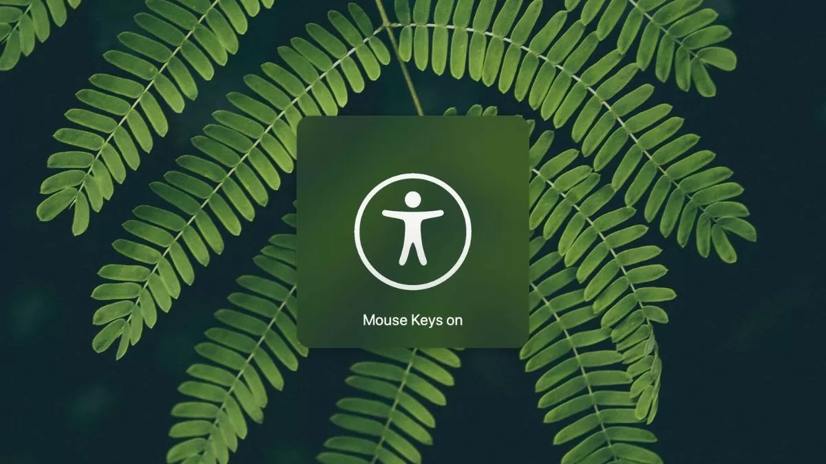 Mách bạn 8 cách sửa lỗi bàn phím MacBook không gõ được Mách bạn 8 cách sửa lỗi bàn phím MacBook không gõ được