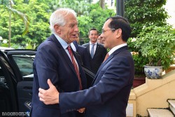Bộ trưởng Ngoại giao Bùi Thanh Sơn đón, hội đàm với Phó Chủ tịch Ủy ban châu Âu Josep Borrell Fontelles