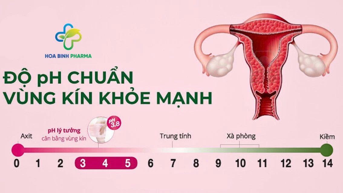 Mara Eva - Thành tựu khoa học từ Italy giúp phòng ngừa viêm nhiễm phụ khoa nhờ cơ chế cân bằng Mara Eva - Thành tựu khoa học từ Italy giúp phòng ngừa viêm nhiễm phụ khoa nhờ cơ chế cân bằng