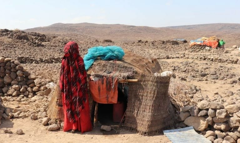 Con số đáng buồn ở Sừng châu Phi: Hơn 20 triệu người buộc phải di dời trong nước. Ames News Con số đáng buồn ở Sừng châu Phi: Hơn 20 triệu người buộc phải di dời trong nước. Ames News