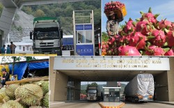 Động lực mới cho hợp tác thương mại, đầu tư Việt Nam-Trung Quốc