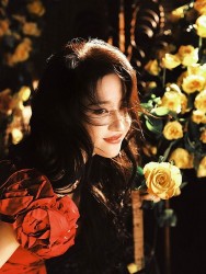 Ngắm diễn viên Lưu Diệc Phi 'Câu chuyện hoa hồng' đẹp kiêu sa trong bộ ảnh mới Ngắm diễn viên Lưu Diệc Phi 'Câu chuyện hoa hồng' đẹp kiêu sa trong bộ ảnh mới