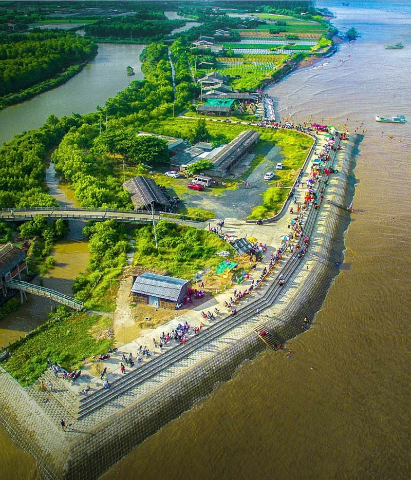 Đánh thức tiềm năng của 'xứ Dừa' Bến Tre Đánh thức tiềm năng của 'xứ Dừa' Bến Tre