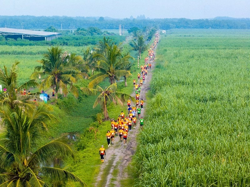 Băng qua những cánh đồng mía bất tận của TTC AgriS, VĐV được đắm chìm trong bầu không khí trong lành của thiên nhiên, đồng thời cũng được thách thức giới hạn của bản thân với nhiều địa hình khó nhằn. Băng qua những cánh đồng mía bất tận của TTC AgriS, VĐV được đắm chìm trong bầu không khí trong lành của thiên nhiên, đồng thời cũng được thách thức giới hạn của bản thân với nhiều địa hình khó nhằn.