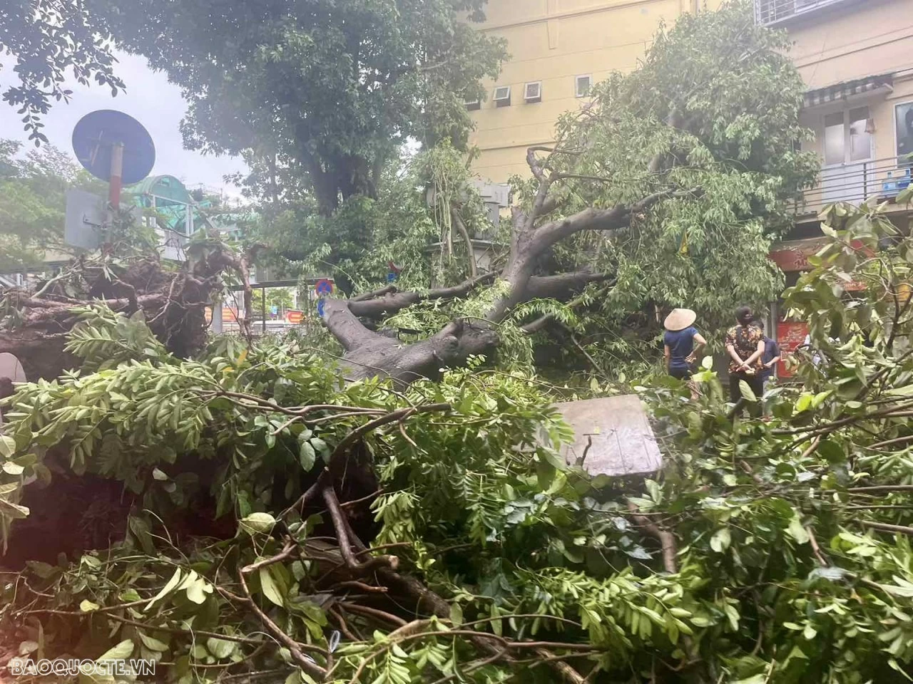 Bão không chỉ trên TV... Khi bão không chỉ là chuyện trên TV...