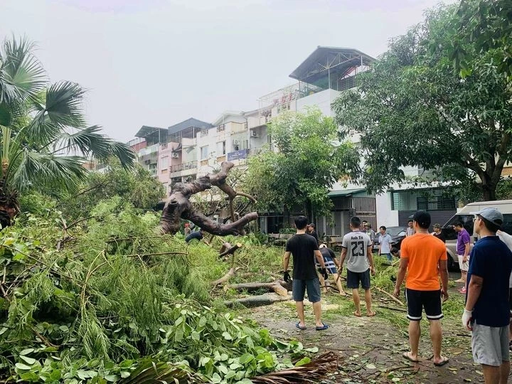 Hà Nội: Triển khai các biện pháp khắc phục, giải tỏa cây xanh gãy đổ sau cơn bão số 3 Hà Nội: Triển khai các biện pháp khắc phục, giải tỏa cây xanh gãy đổ sau cơn bão số 3