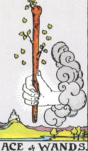 Bài tarot hôm nay 12/9: Bạn có nên đổi công việc cũ làm công việc mới không? Bài tarot hôm nay: