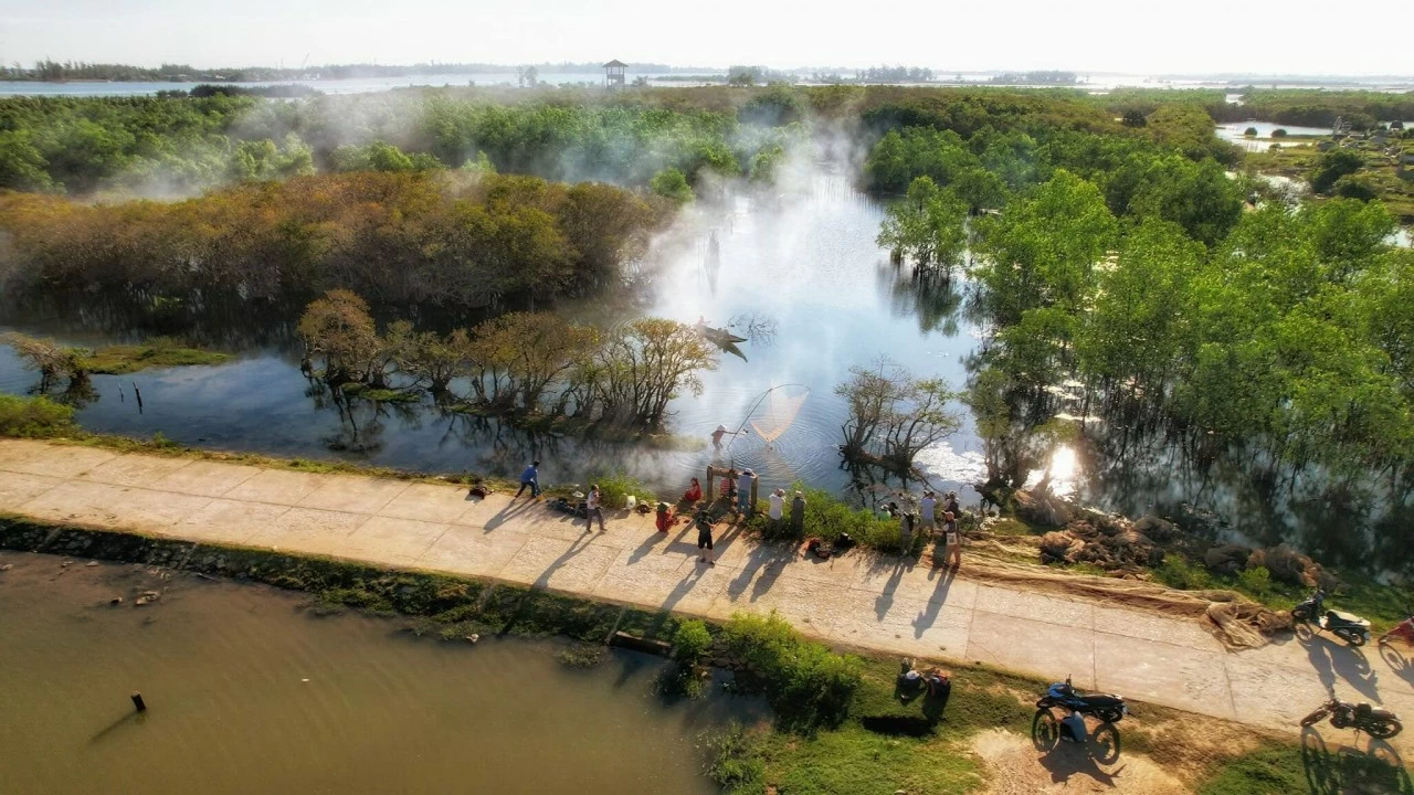 Vẻ đẹp của rừng ngập mặn nguyên sinh Rú Chá vào Thu Vẻ đẹp của rừng ngập mặn nguyên sinh Rú Chá vào Thu