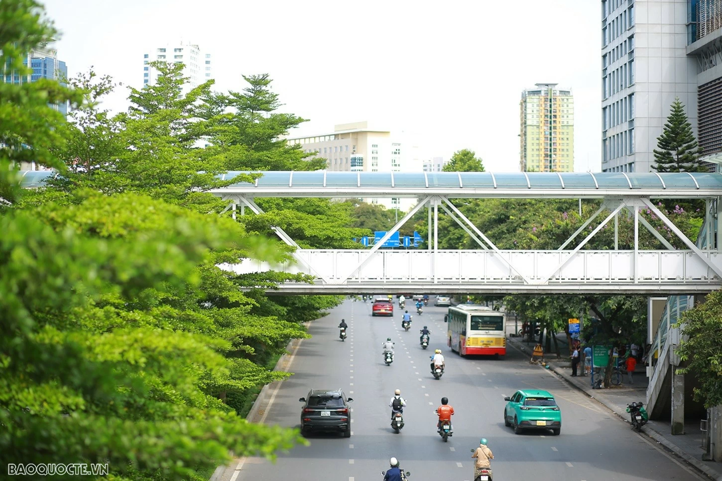 (Ảnh: Dương Trần) (Ảnh: Dương Trần)