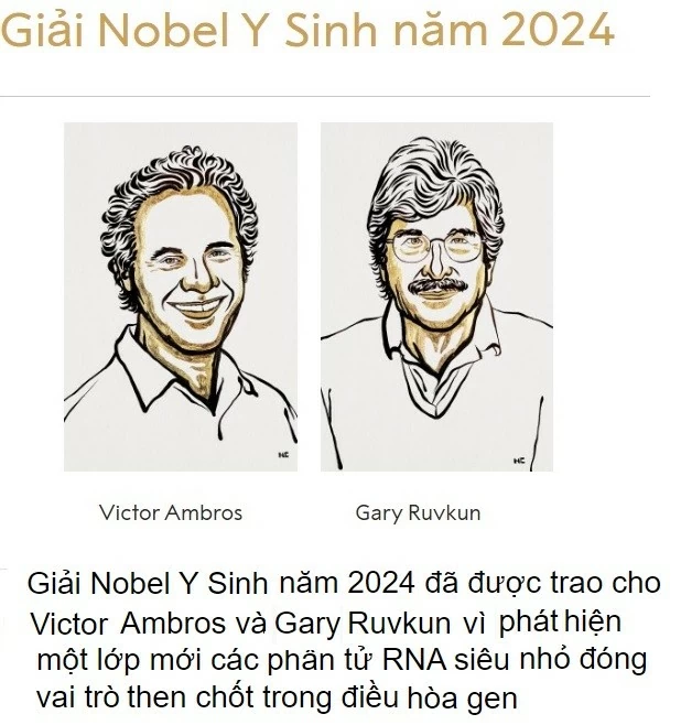 Tin thế giới 7/10: Tính toán thâm sâu của Tổng thống Nga với 'Thời đại anh hùng', Hamas tấn công Tel Aviv, Trung Đông 365 ngày máu và lửa Tin thế giới 7/10: Tính toán thâm sâu của Tổng thống Nga với 'Thời đại anh hùng', Hamas tấn công Tel Aviv, Trung Đông 365 ngày máu và lửa