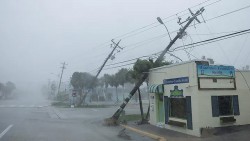 Mỹ: Hình ảnh loạt ngôi nhà tan hoang, cột điện, cây cối đổ rạp do bão Milton đổ bộ Florida