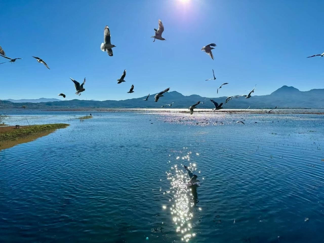 Du lịch Trung Quốc: Tốp những điểm đến ngắm trọn vẻ đẹp của Lệ Giang Du lịch Trung Quốc: Tốp những điểm đến ngắm trọn vẻ đẹp của Lệ Giang