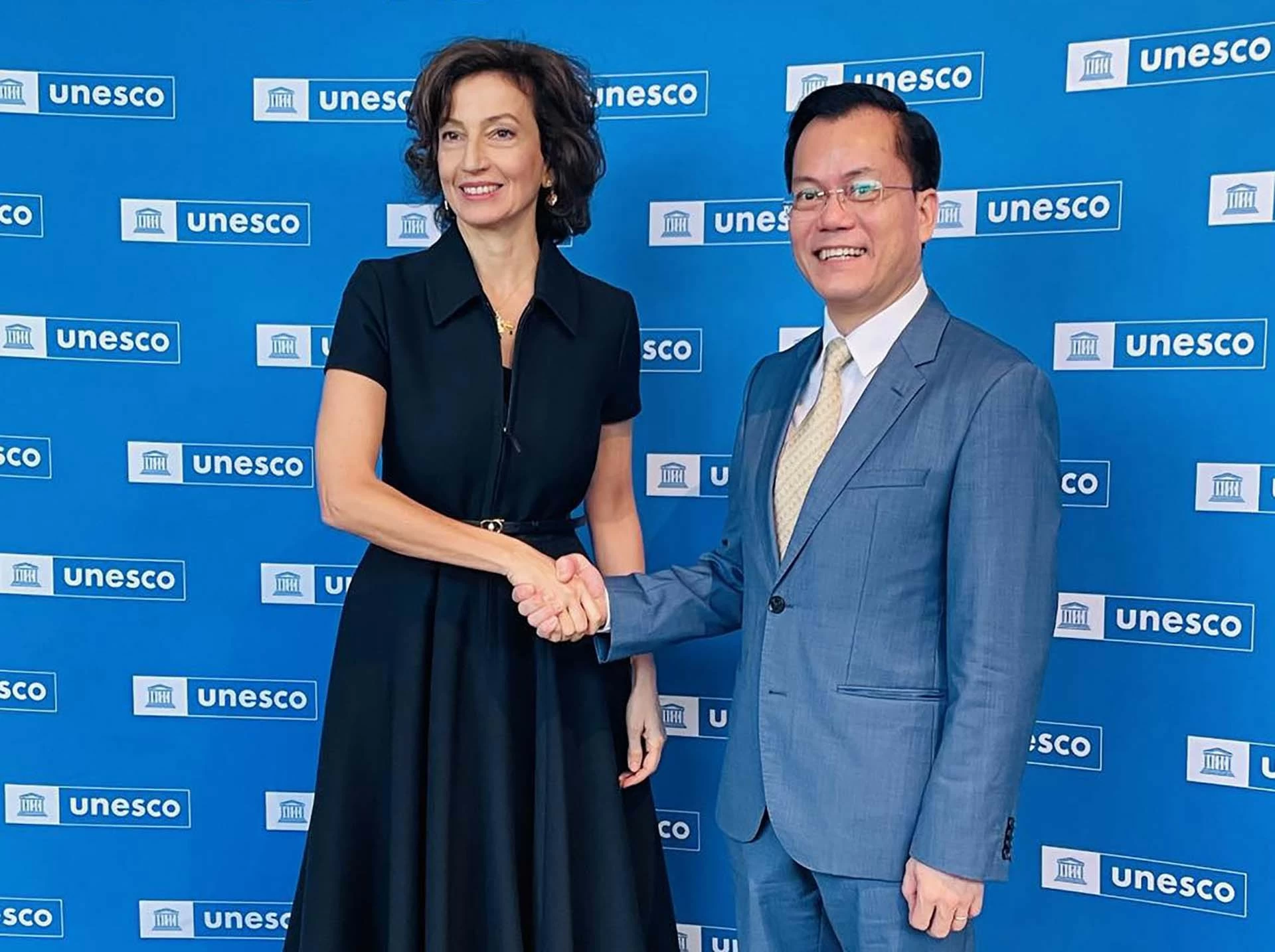 Việt Nam là đối tác chiến lược, tin cậy, trách nhiệm của UNESCO Việt Nam là đối tác chiến lược, tin cậy, trách nhiệm của UNESCO