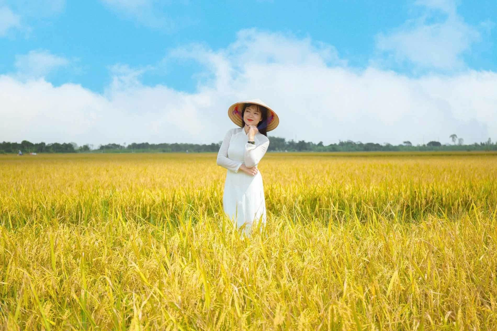 Tới Thái Bình dịp này, ngoài Tiền Hải, du khách có thể chiêm ngưỡng và check-in mùa lúa chín ở huyện Vũ Thư, huyện Kiến Xương. Ảnh: Nhật Hà Tới Thái Bình dịp này, ngoài Tiền Hải, du khách có thể chiêm ngưỡng và check-in mùa lúa chín ở huyện Vũ Thư, huyện Kiến Xương. Ảnh: Nhật Hà