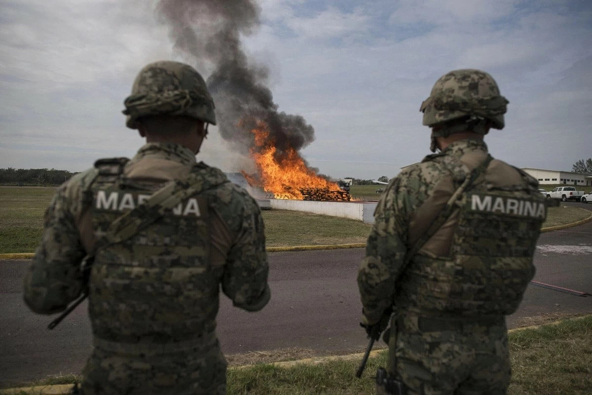 Lính thủy đánh bộ Mexico quan sát hoạt động tiêu hủy hàng trăm ký cocaine bị thu giữ tại thành phố cảng Veracruz tháng 1/2018. (Nguồn: AFP) Lính thủy đánh bộ Mexico quan sát hoạt động tiêu hủy hàng trăm ký cocaine bị thu giữ tại thành phố cảng Veracruz tháng 1/2018. (Nguồn: AFP)
