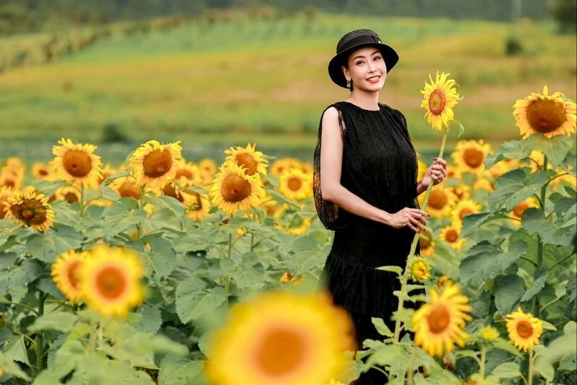 Sao Việt: Sao Việt: