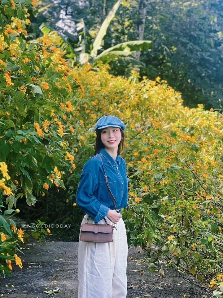 Sắc vàng hoa dã quỳ rợp kín cung đường lên Vườn Quốc Gia Ba Vì, Hà Nội Sắc vàng hoa dã quỳ rợp kín cung đường lên Vườn Quốc Gia Ba Vì, Hà Nội