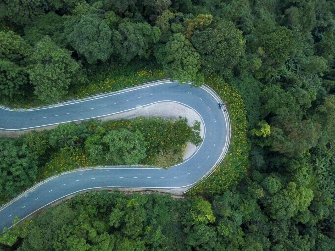 Sắc vàng hoa dã quỳ rợp kín cung đường lên Vườn Quốc Gia Ba Vì, Hà Nội Sắc vàng hoa dã quỳ rợp kín cung đường lên Vườn Quốc Gia Ba Vì, Hà Nội