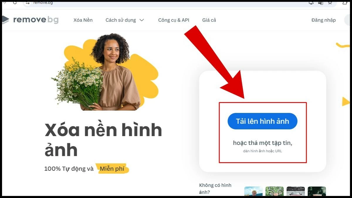 Hướng dẫn sử dụng Remove BG xóa phông ảnh online tiện lợi Hướng dẫn sử dụng Remove BG xóa phông ảnh online tiện lợi