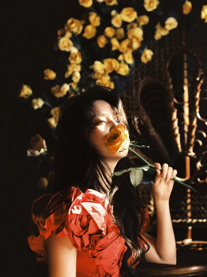 Lưu Diệc Phi Lưu Diệc Phi