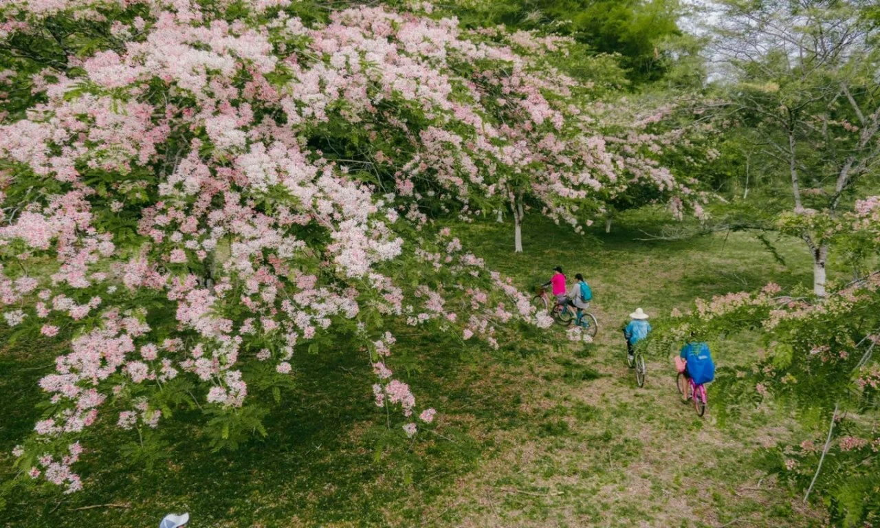 Tà Lài (Đồng Nai): Nơi giao thoa giữa văn hóa và thiên nhiên Tà Lài (Đồng Nai): Nơi giao thoa giữa văn hóa và thiên nhiên