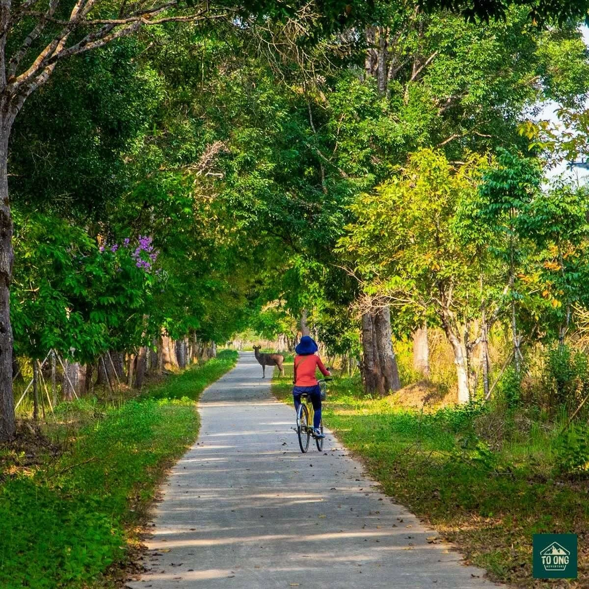 Tà Lài (Đồng Nai): Nơi giao thoa giữa văn hóa và thiên nhiên Tà Lài (Đồng Nai): Nơi giao thoa giữa văn hóa và thiên nhiên