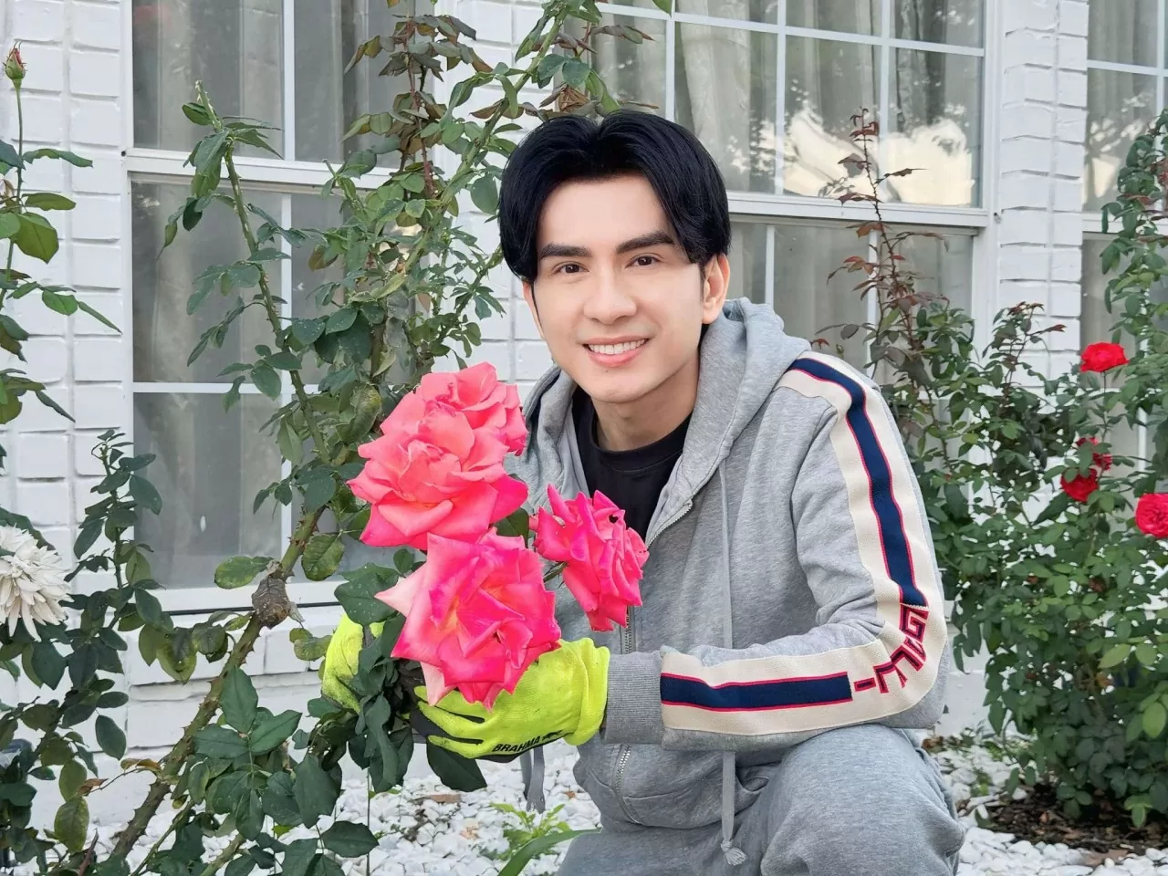 Sao Việt: Sao Việt: