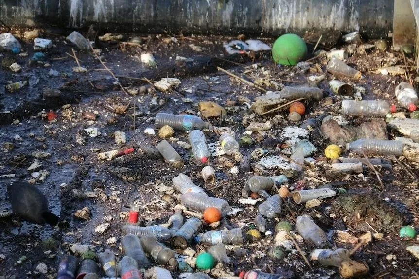 Rác thải nhựa tại các siêu thị: Mối nhức nhối ngày càng nghiêm trọng của Australia Rác thải nhựa tại các siêu thị: Mối nhức nhối ngày càng nghiêm trọng của Australia