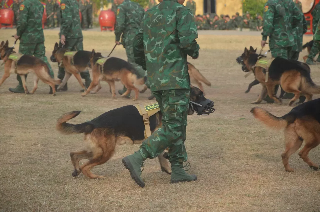 Những 'chiến sĩ đặc biệt' tại Triển lãm quốc phòng quốc tế Việt Nam 2024