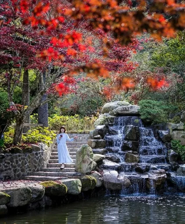 Xứ Đài mùa Thu Đông: Thiên đường cho người yêu hoa Xứ Đài mùa Thu Đông: Thiên đường cho những người yêu hoa