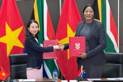 Thứ trưởng Ngoại giao Nguyễn Minh Hằng thăm Nam Phi và đồng chủ Kỳ Triển lãm Diễn đàn Đối tác liên Chính phủ hai nước