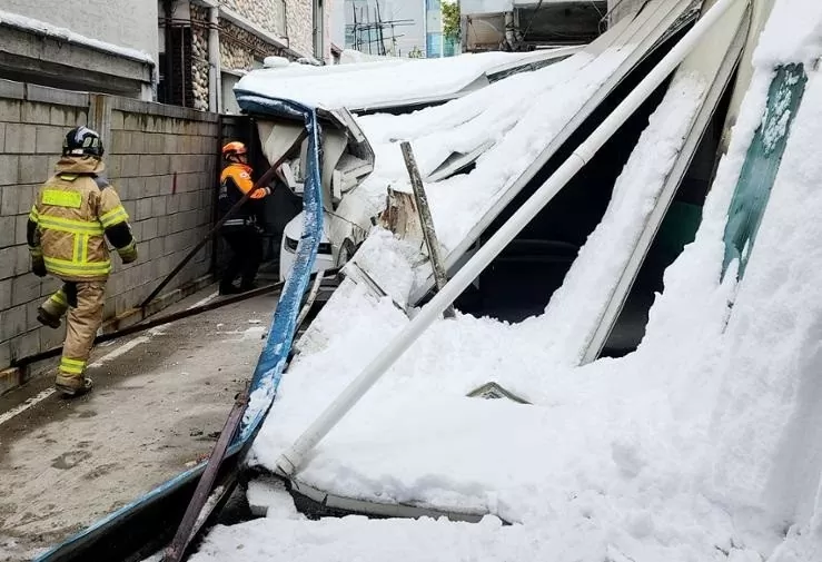 Hình ảnh tuyết rơi dày nhất hơn 50 năm phủ trắng Seoul, Hàn Quốc Hình ảnh tuyết rơi dày nhất hơn 50 năm phủ trắng Seoul, Hàn Quốc