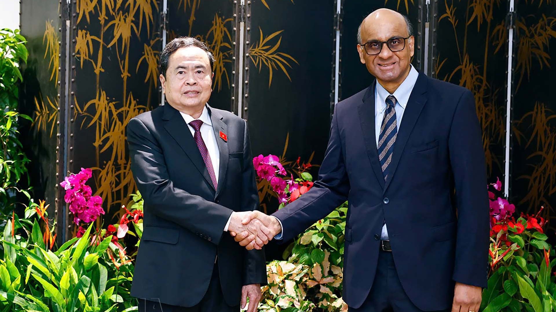 Chủ tịch Quốc hội Trần Thanh Mẫn hội kiến Tổng thống Singapore