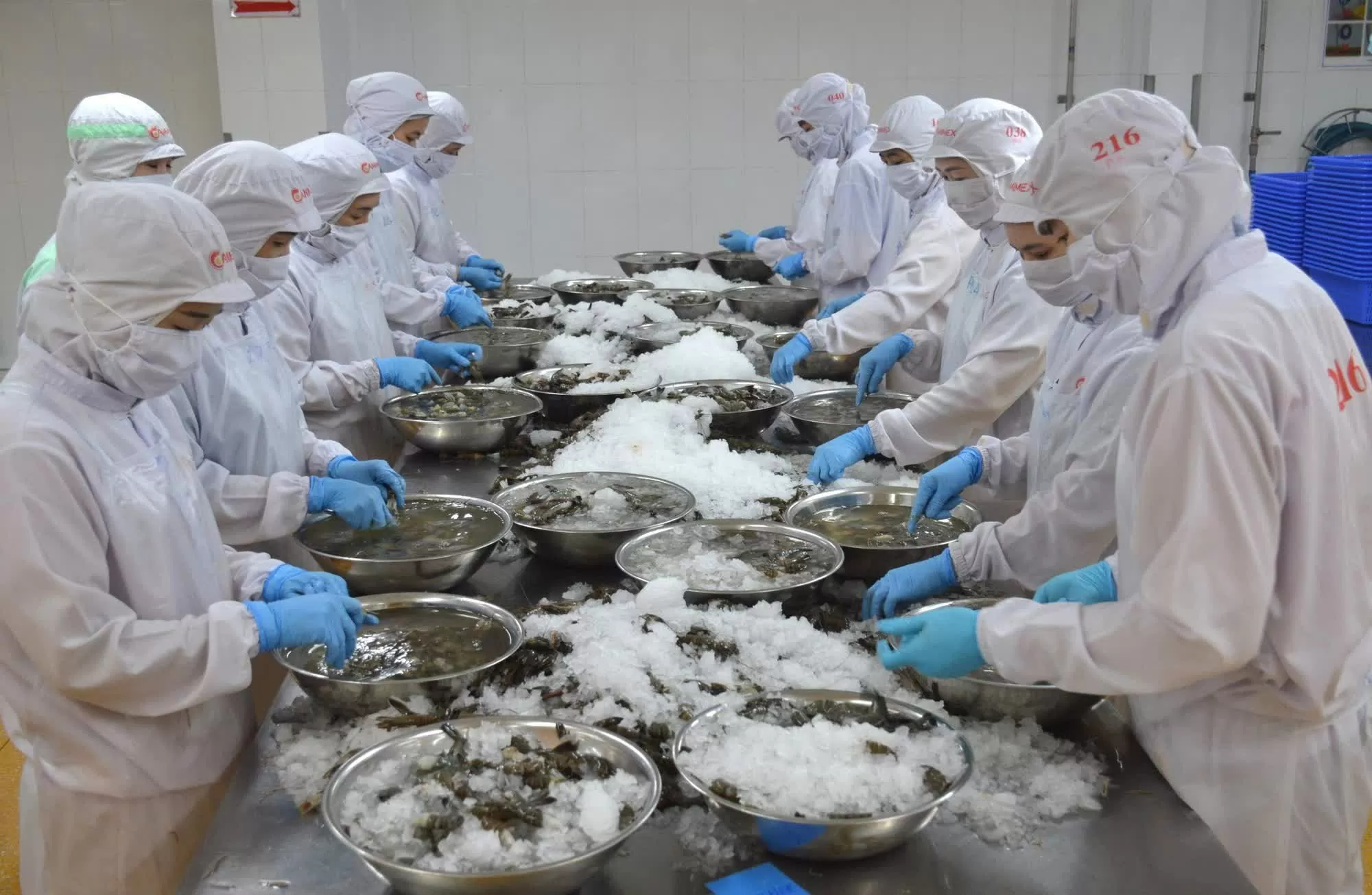 Cà Mau muốn các doanh nhân, doanh nghiệp nắm bắt cơ hội, hợp tác vì sự phát triển chung Cà Mau muốn các doanh nhân, doanh nghiệp nắm bắt cơ hội, hợp tác vì sự phát triển chung