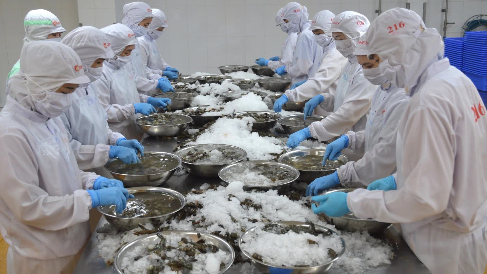 Cà Mau muốn các doanh nhân, doanh nghiệp nắm bắt cơ hội, hợp tác vì sự phát triển chung