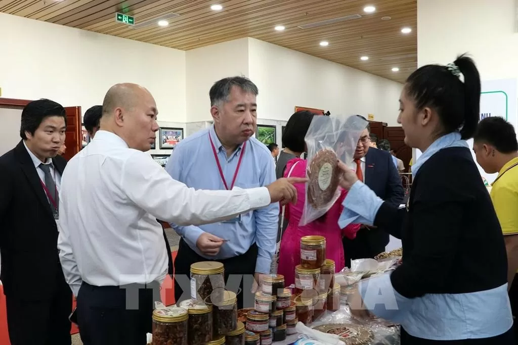 Để các sản phẩm của Cà Mau vươn xa đến các thị trường mới Để các sản phẩm của Cà Mau vươn xa đến các thị trường mới