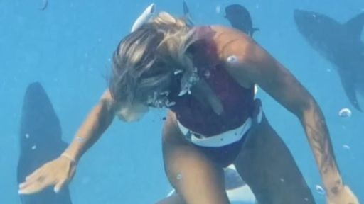 Cá mập Maldives tấn công du khách nữ khi bơi lặn