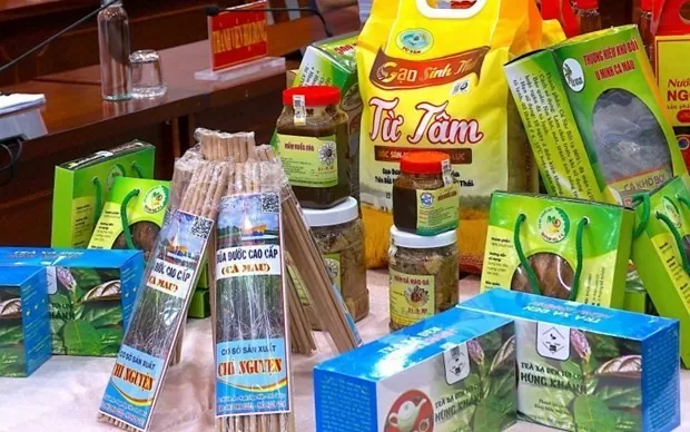 Các sản phẩm OCOP tỉnh Cà Mau. (Nguồn: Thương hiệu và Công luận) Các sản phẩm OCOP tỉnh Cà Mau. (Nguồn: Thương hiệu và Công luận)