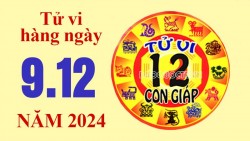 Tử vi hôm nay, xem tử vi 12 con giáp hôm nay ngày 9/12/2024: Tuổi Dậu hạn chế chi tiêu