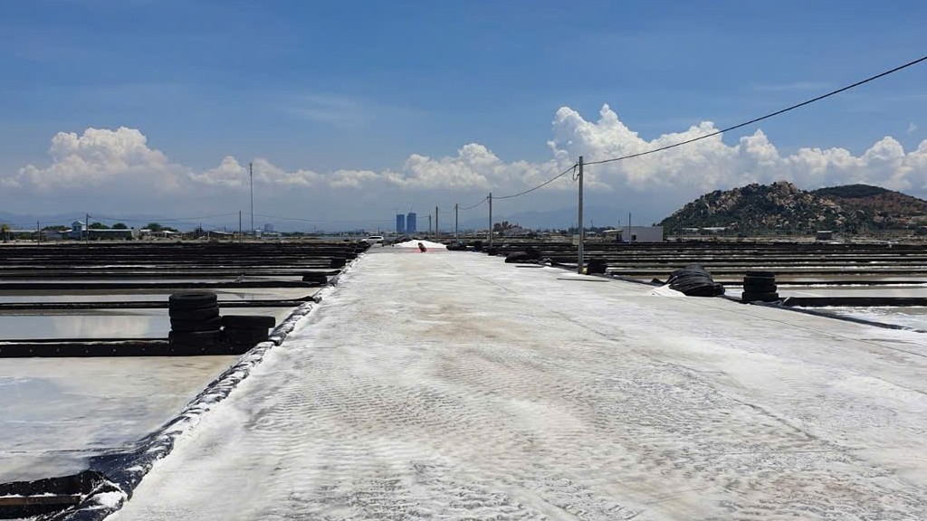 Giáo sư Igor Panfilov: Đưa tình yêu Việt Nam đến tương lai