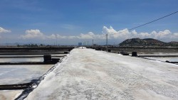 Giáo sư Igor Panfilov: Đưa tình yêu Việt Nam đến tương lai