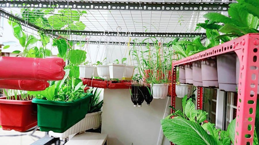 Sống xanh từ hành động nhỏ