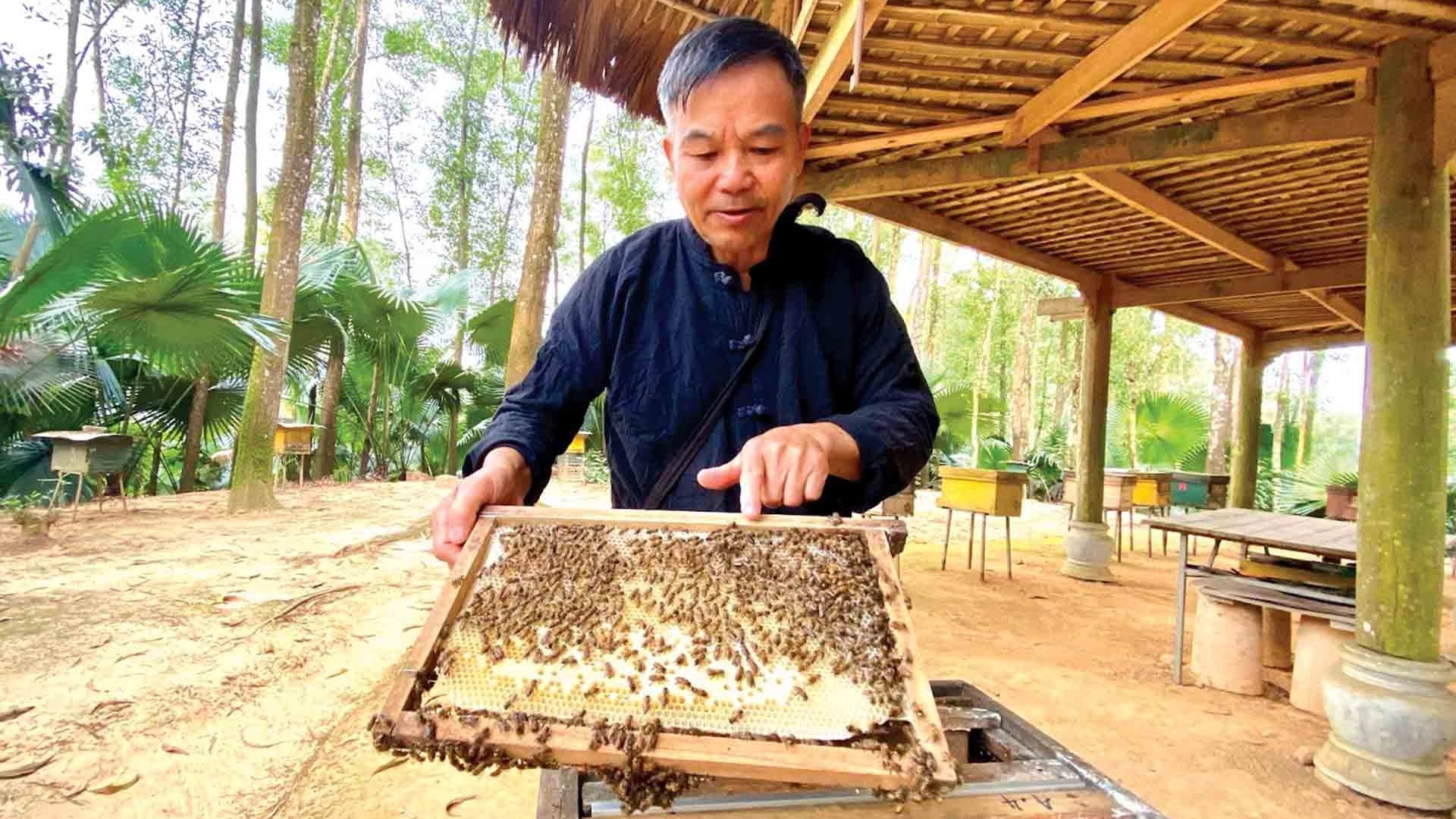 Nghề nuôi ong truyền thống: Sứ giả gieo duyên của người Tày