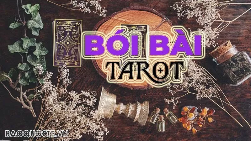 Bài tarot hôm nay: Bài tarot hôm nay 31/12: Bạn được sinh ra với sứ mệnh gì?