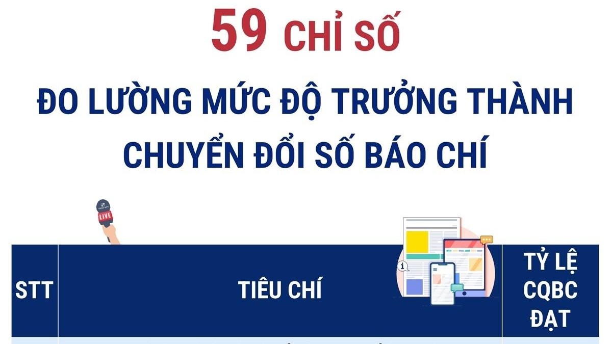 Có bao nhiêu chỉ số đo lường mức độ trưởng thành chuyển đổi số báo chí?
